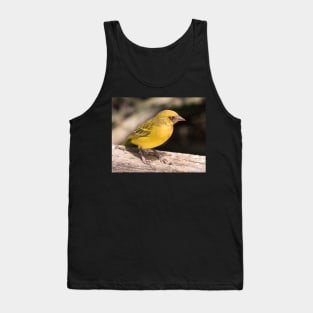 Vitelline Masked Weaver Tank Top